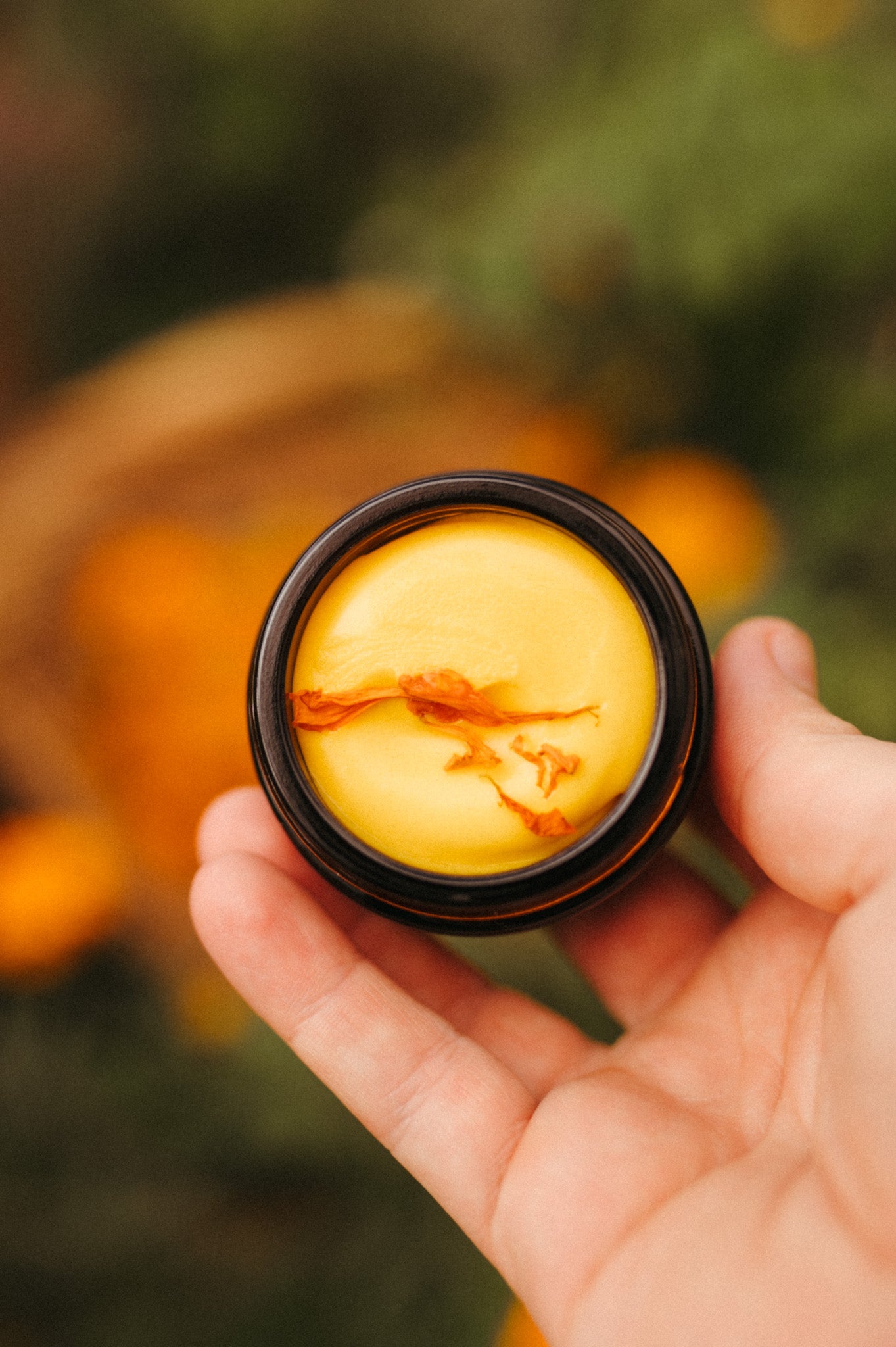 Marigold honey tallow