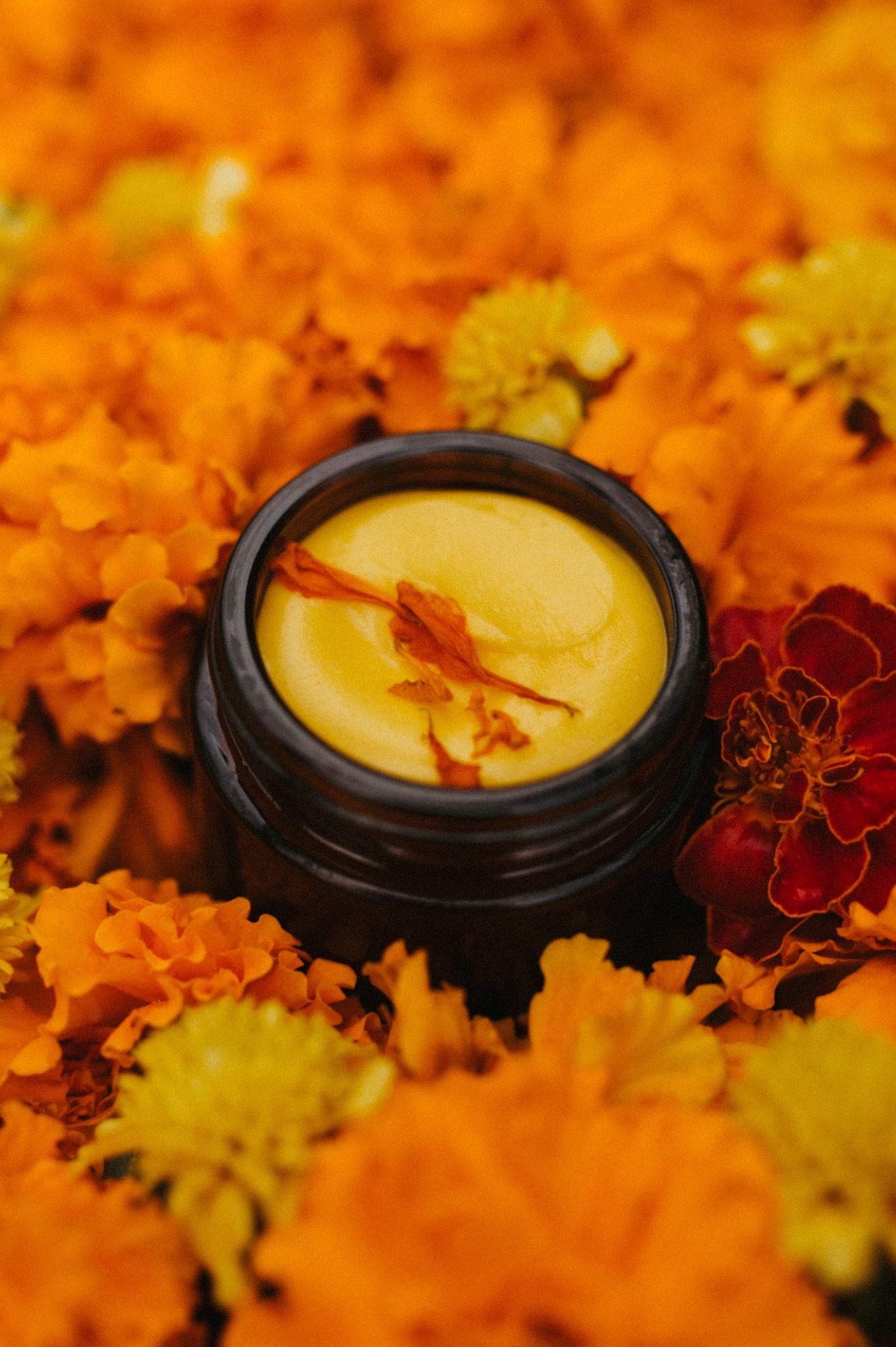 Marigold honey tallow