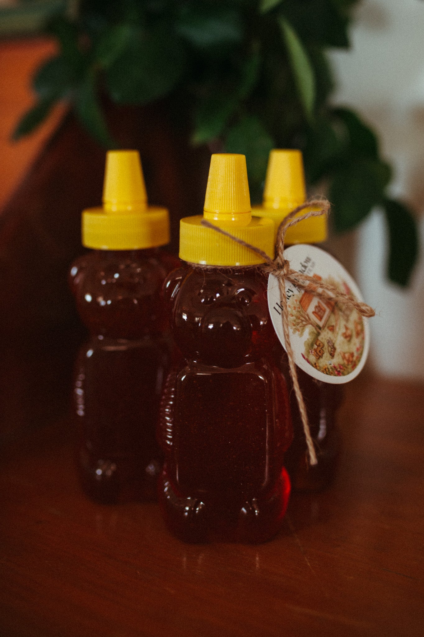Honey bears
