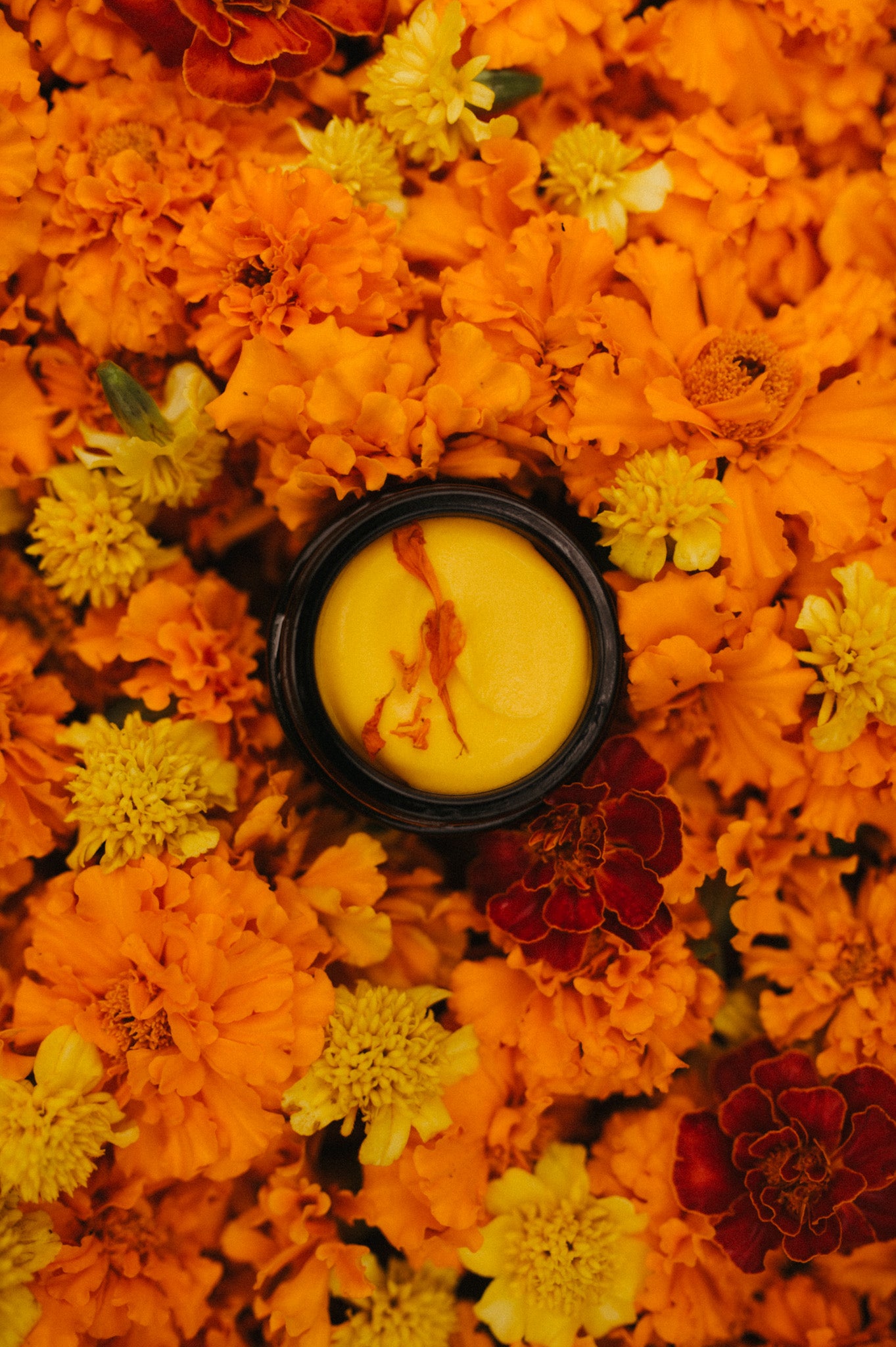 Marigold honey tallow
