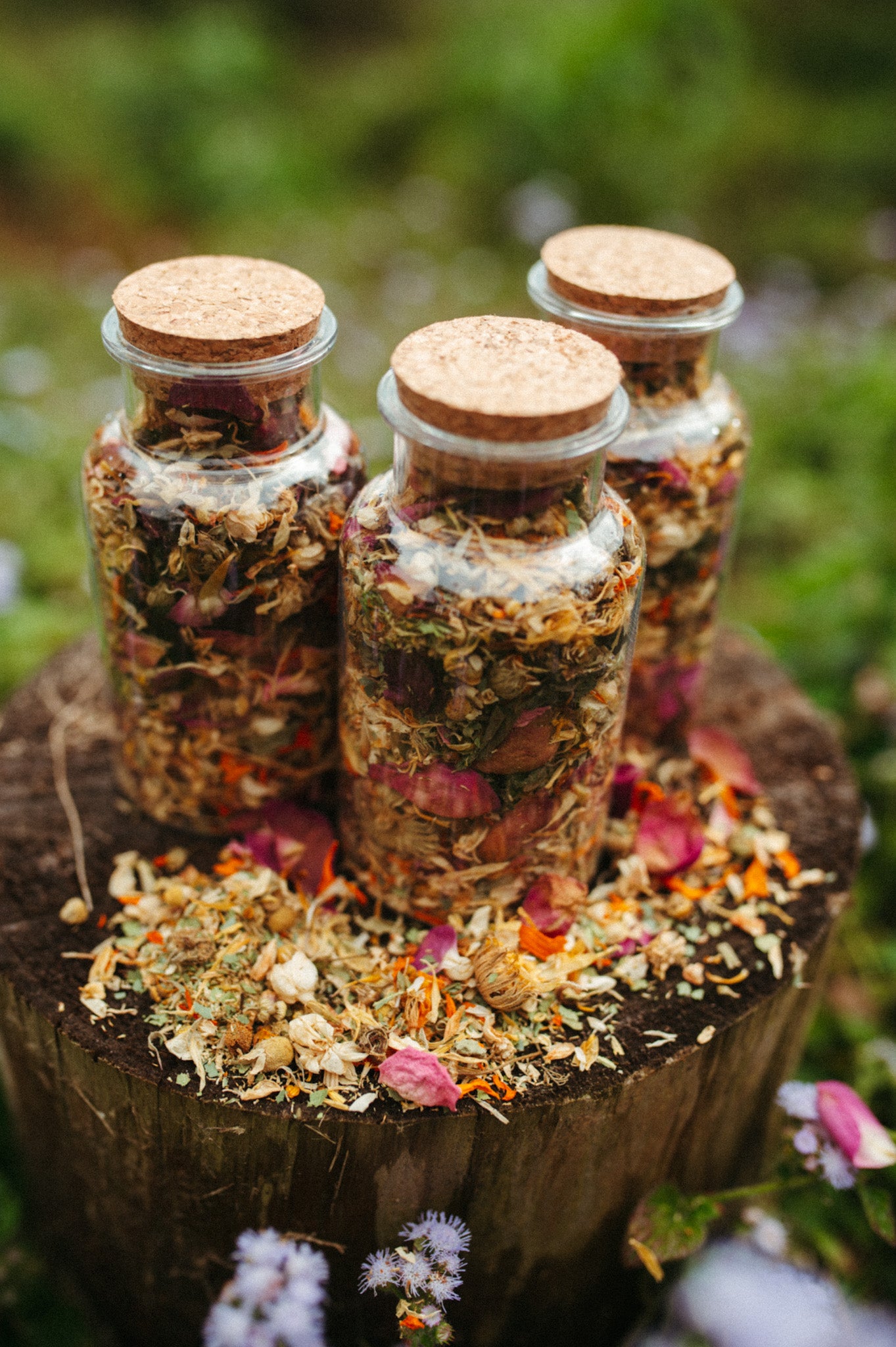 Chicken nesting box herbs
