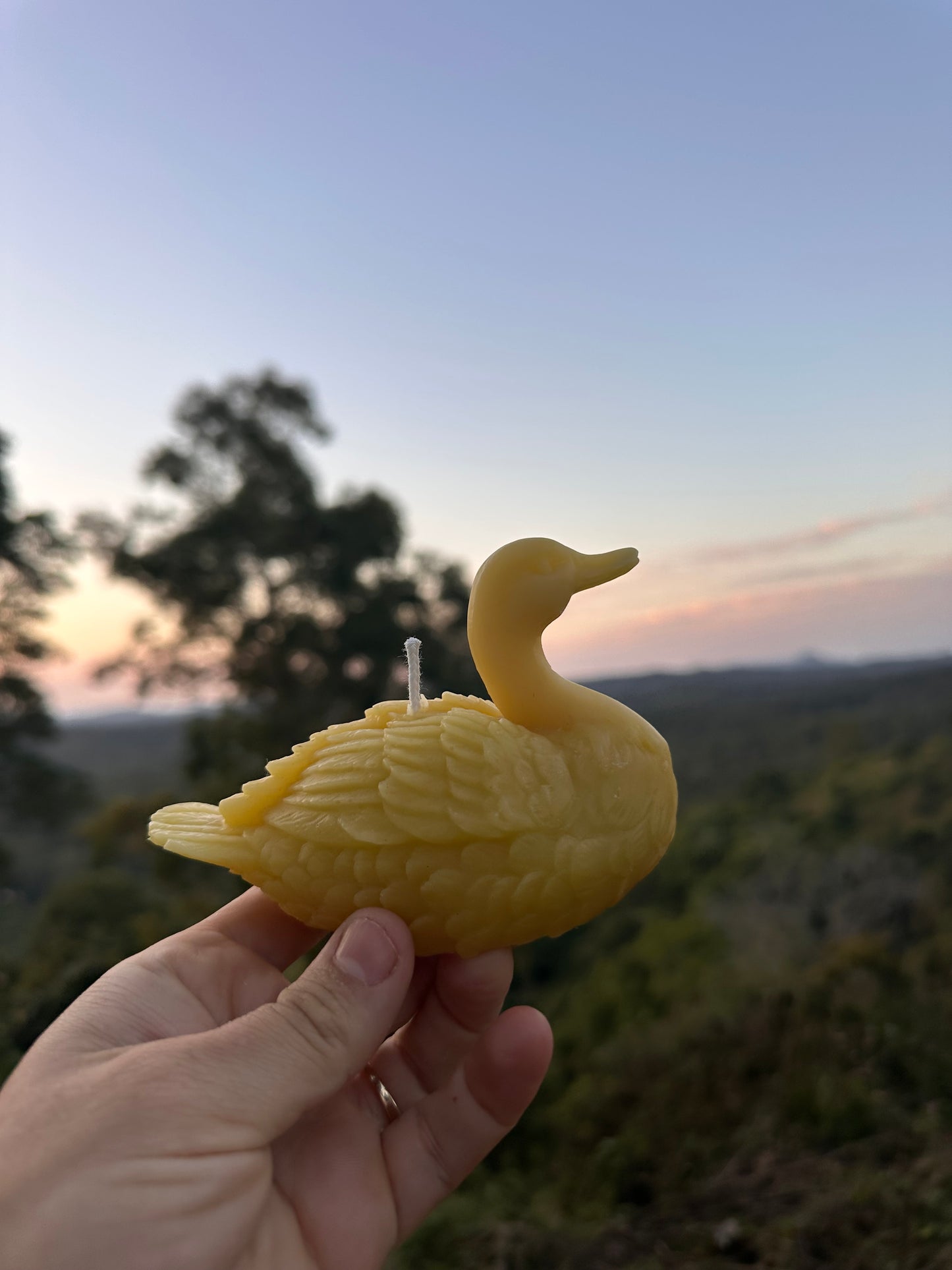 Duck candle