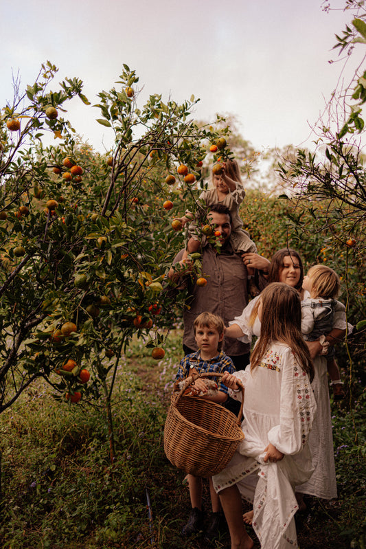 Welcome to Honey meadow homestead