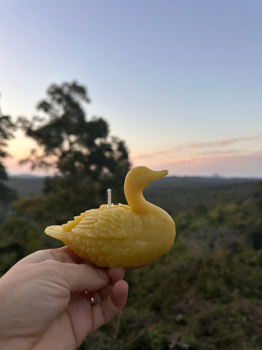 Duck candle