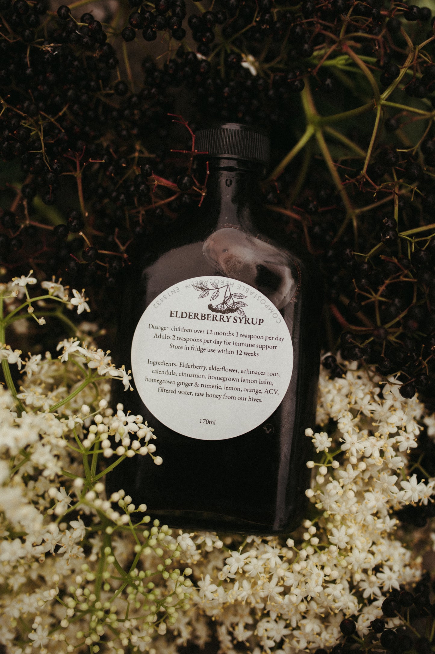 Elderberry syrup
