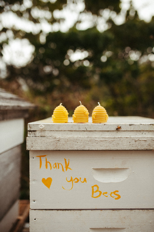 Beehive tea light candle