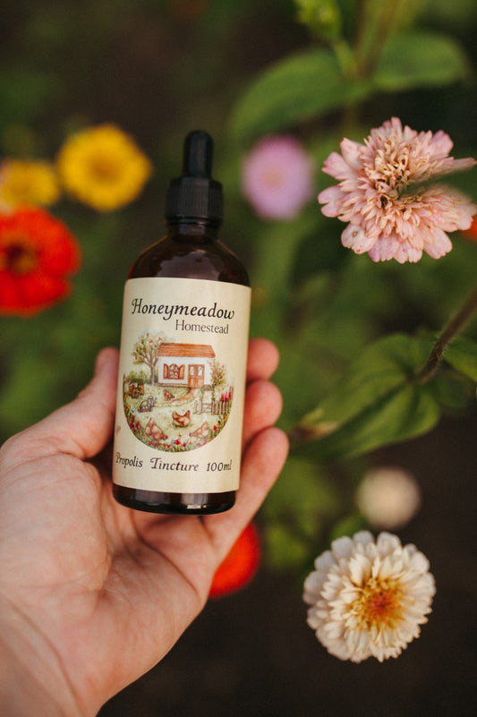 Propolis tincture