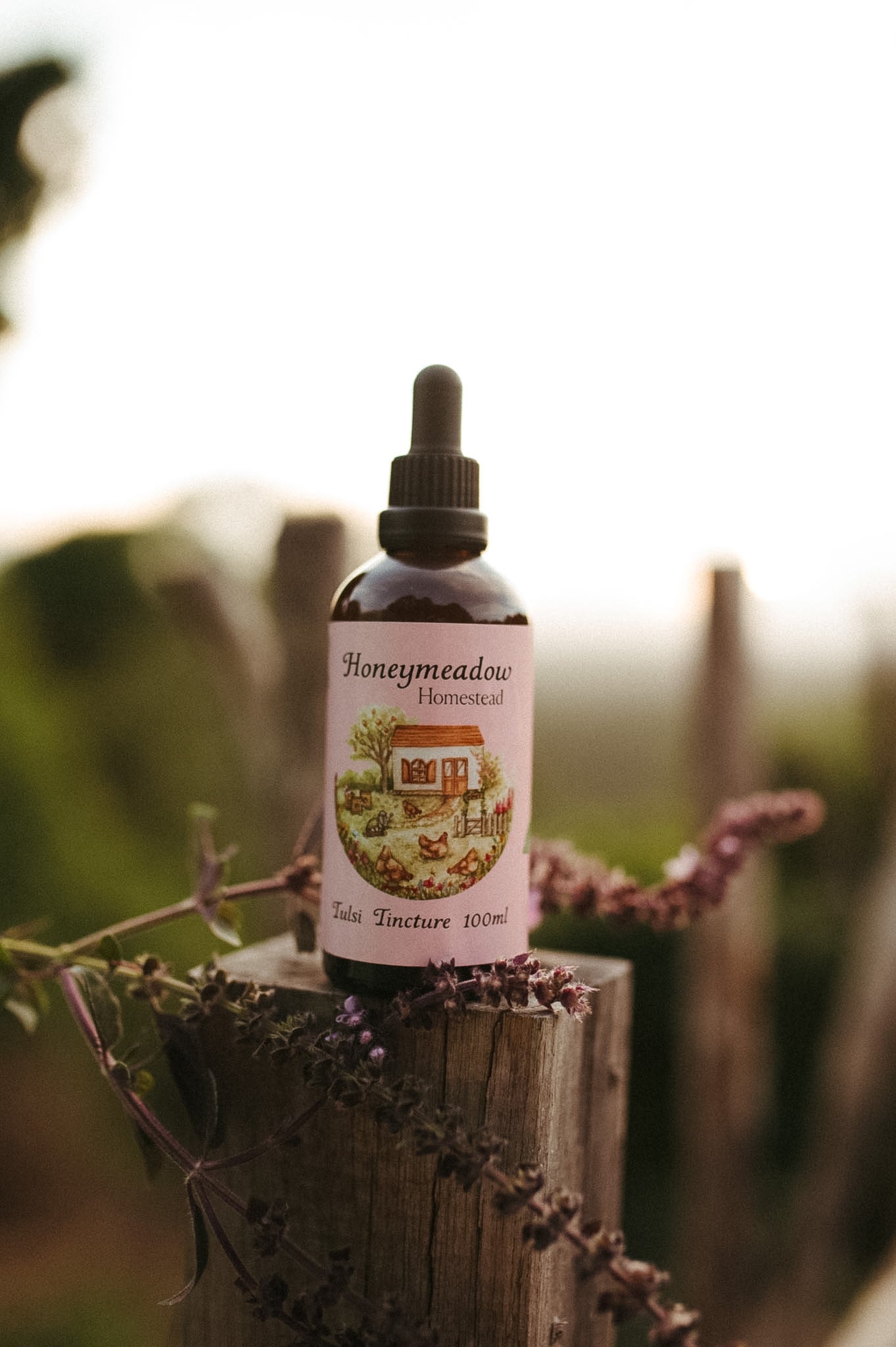 Tulsi tincture