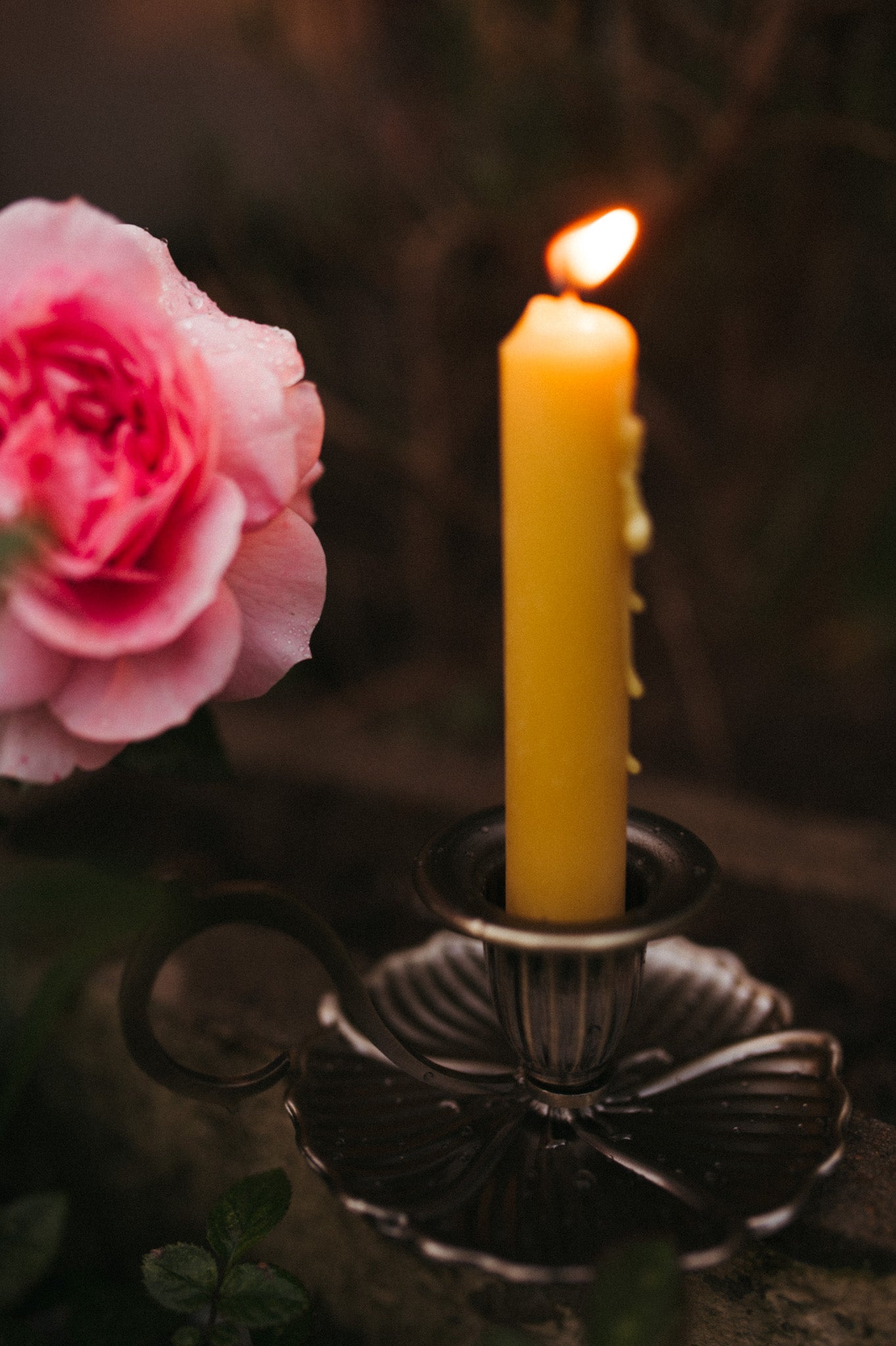 Petal candle holder
