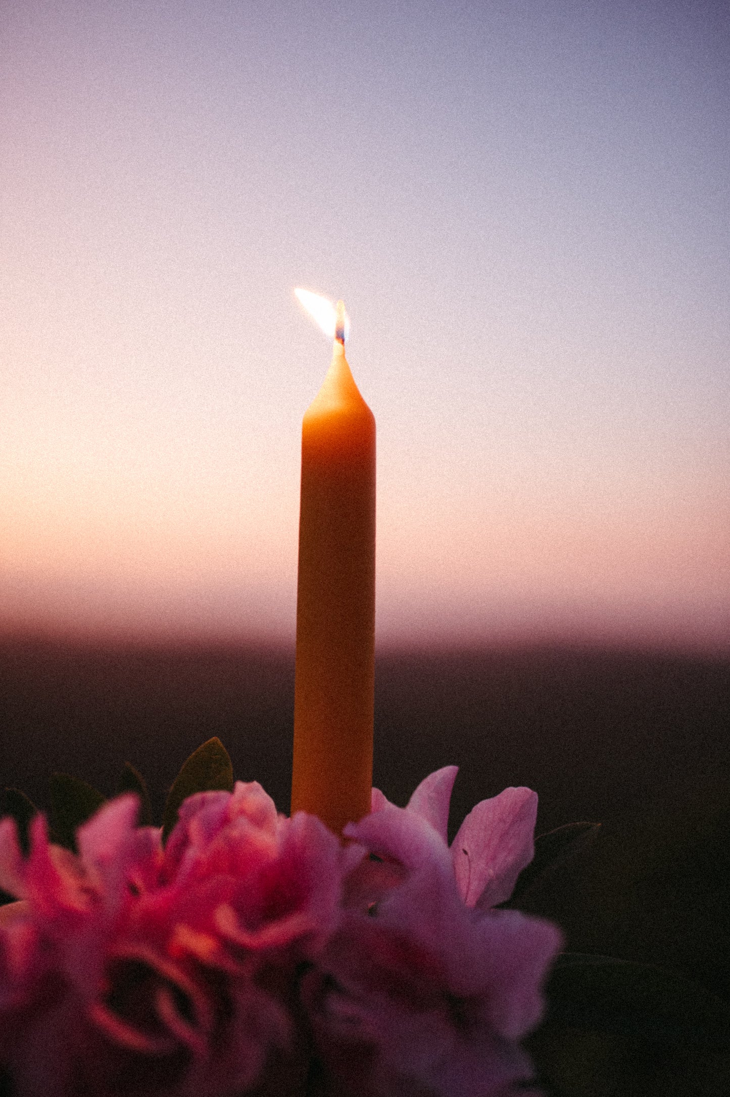 Pure bees wax dinner candles