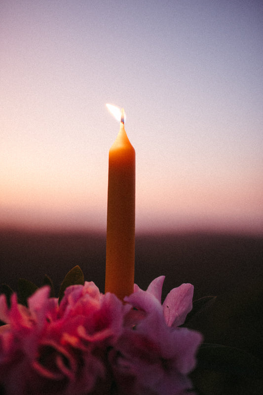 Pure bees wax dinner candles